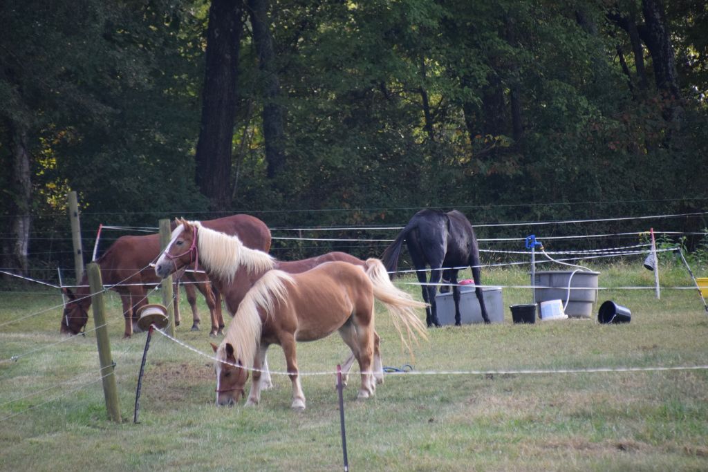 riddle center barn event 10-19 001 (1024x683).jpg